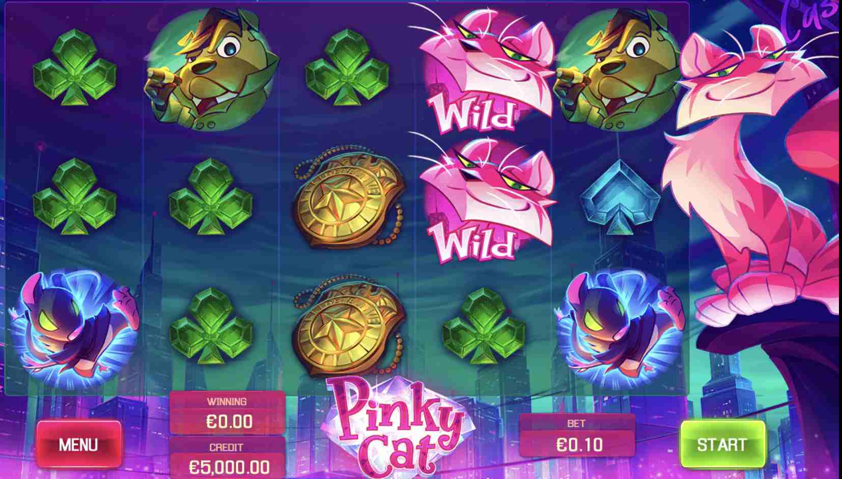 pinky cat